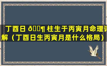 丁酉日 🐶 柱生于丙寅月命理详解（丁酉日生丙寅月是什么格局）